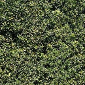 Meet your Posher, Cat